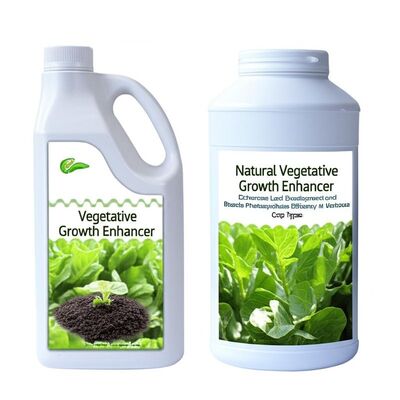 Natural Vegetative Growth Enhancer Enhances Leaf Development and Boosts Photosynthesis Efficiency in Various Crop Types